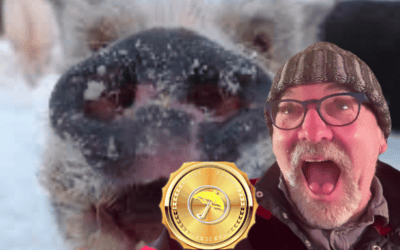 Flash: Pieces of Arctic Pig to make a February comeback